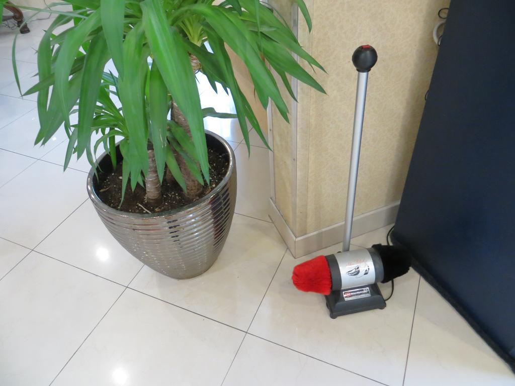 Microtel Inn & Suites By Wyndham Kingsland Naval Base I-95 מראה חיצוני תמונה